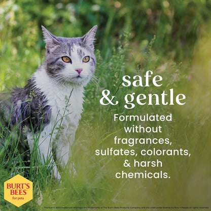 Burt's Bees Spray Reductor de Caspa para Gatos, Fórmula Calmante, 296 ml, Sin Fragancia Fuerte
