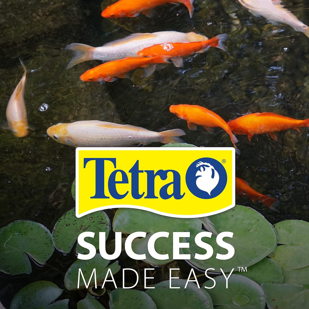 Tetra Pond - Bomba fuente para estanques y jardines acuáticos, 75 GPH