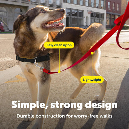 PetSafe Nylon Leash, 3/4" x 4', Red