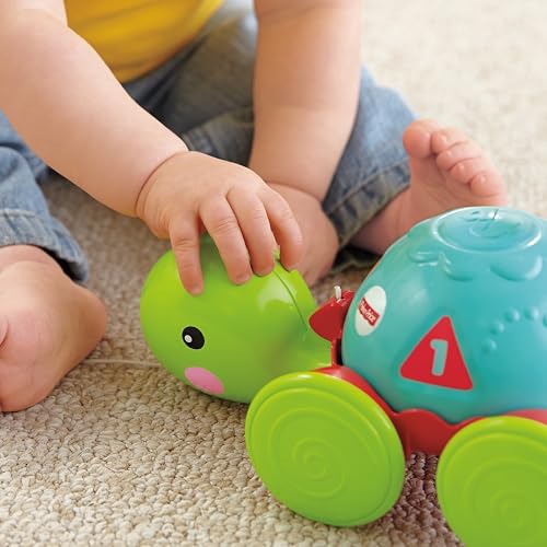 Fisher-Price Friends Play Tortuga De Aprendizaje