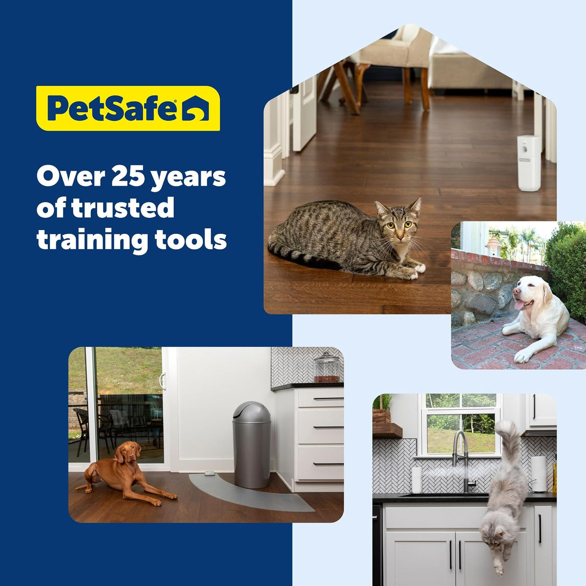 PetSafe Control de ladridos ultrasónico para Interiores, Alcance de hasta 7,6 m, sin Necesidad de Collar, antiladridos