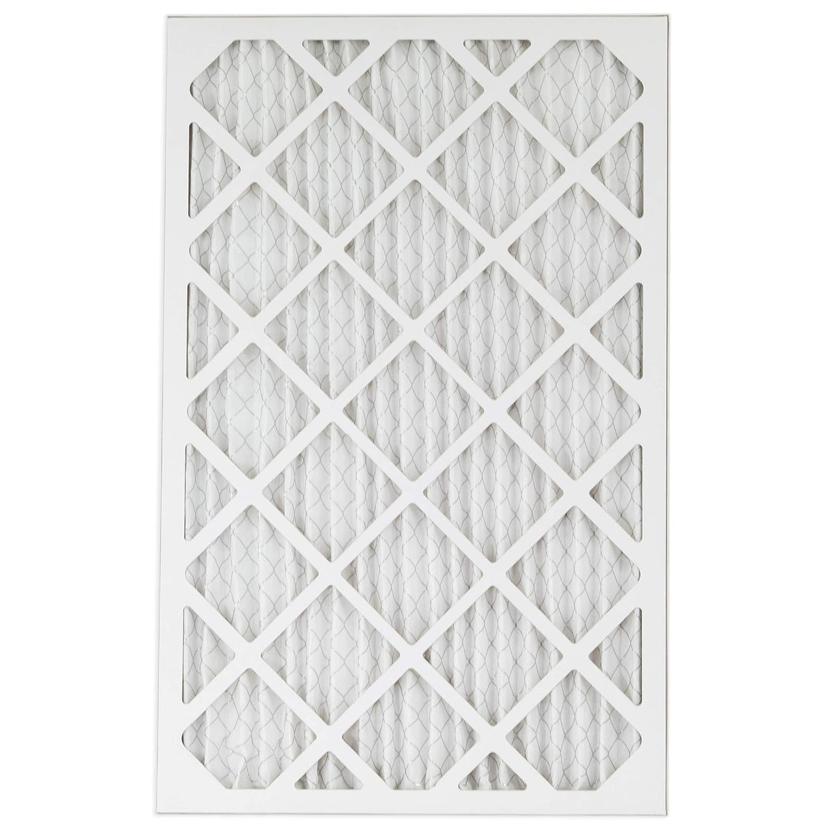 Canopy Air 16 x 25 x 1 MERV 11, filtro de aire de protección contra alérgenos para un hogar saludable, 16 x 25 x 1, caja de 4, fabricado en los Estados Unidos