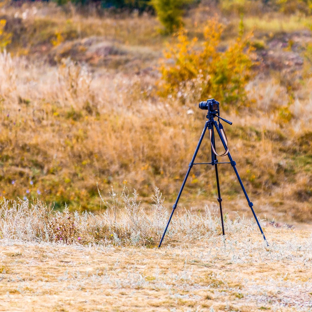 Barska Digital Tripod, Black
