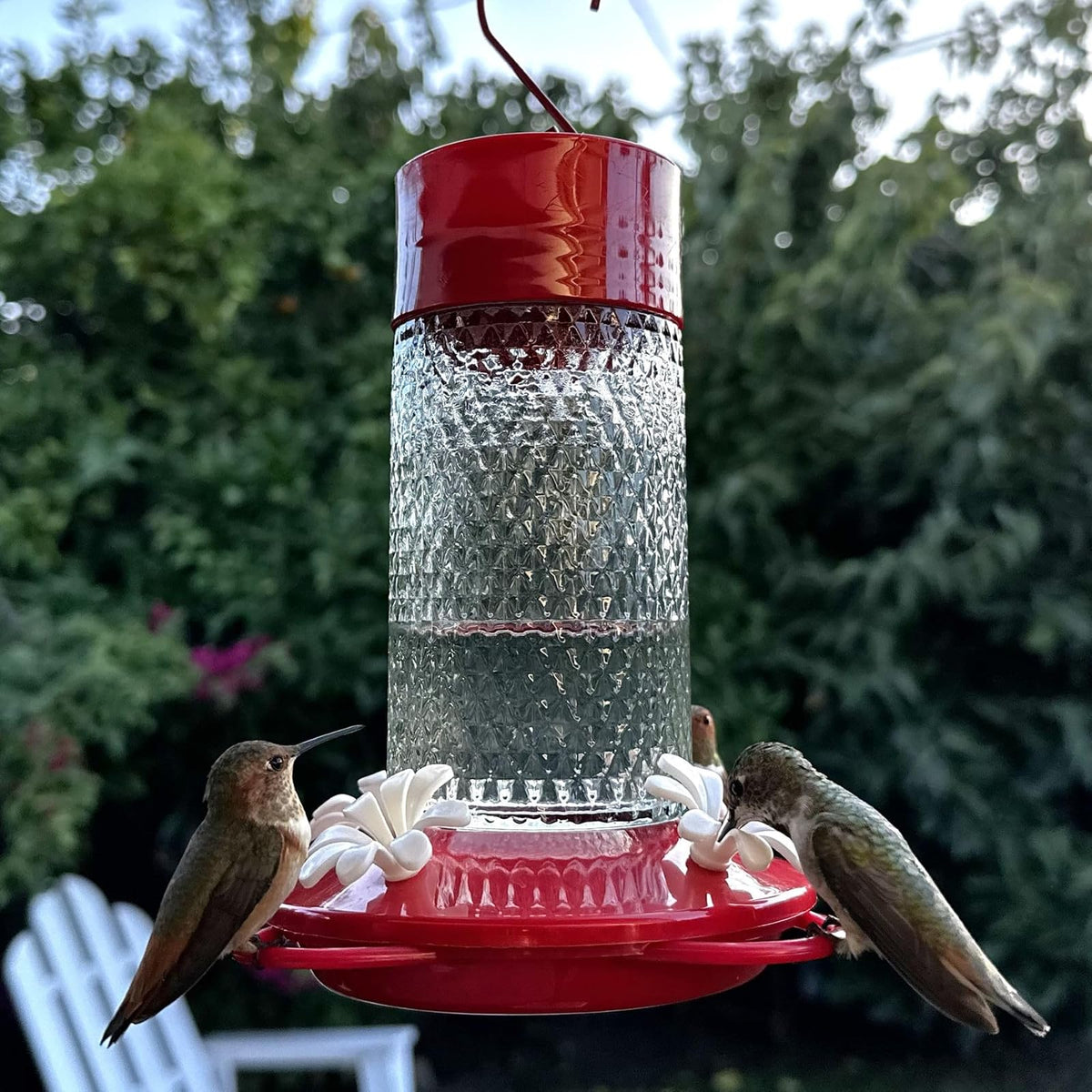 Nature's Way - Alimentador de colibrí de Vidrio Colgante para decoración al Aire última intervensión, alimentador de néctar de Capacidad de 13 onzas, Foso de Hormiga, 4 Puertos Flexibles fáciles de