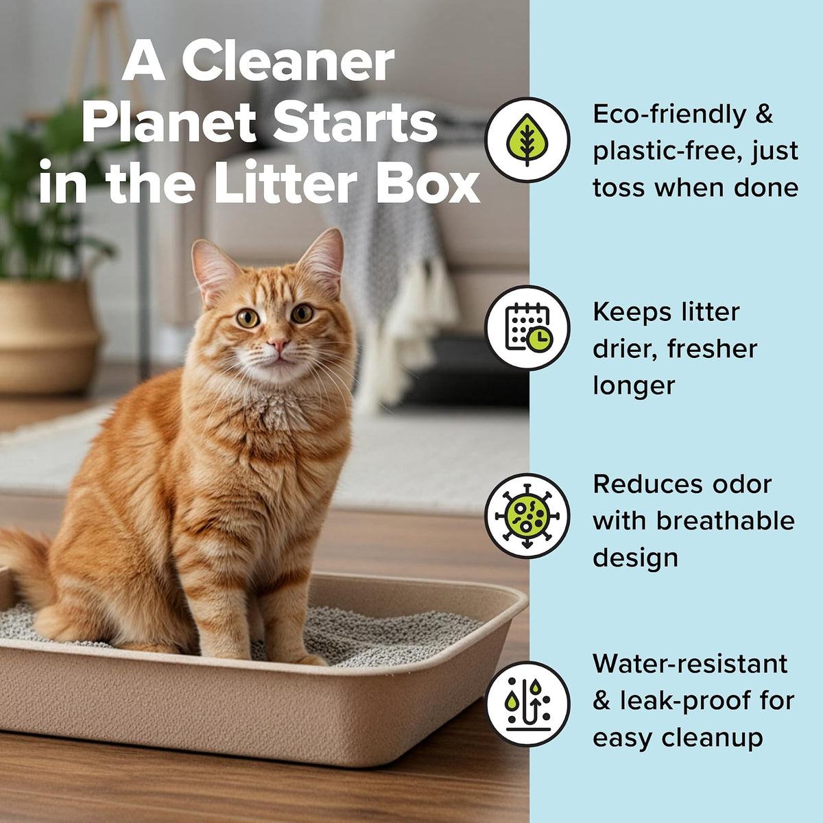 Kitty Sift (6 Unidades) Caja de Arena desechable para Gatos, sostenible, Limpia, Grande, Paquete de 6