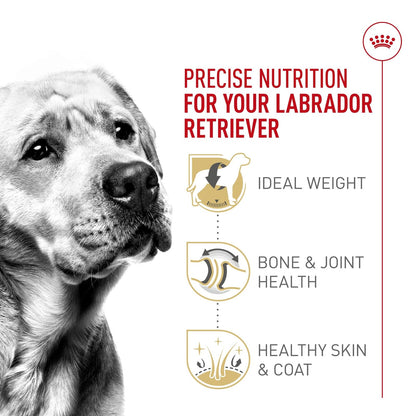 ROYAL CANIN Alimento Seco para Perro Adulto Raza Labrador Retriever, 7.7 kg