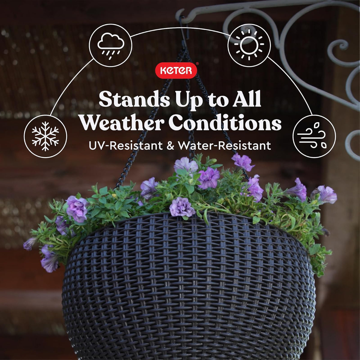 Keter 237997 Hanging Planter Set, Graphite