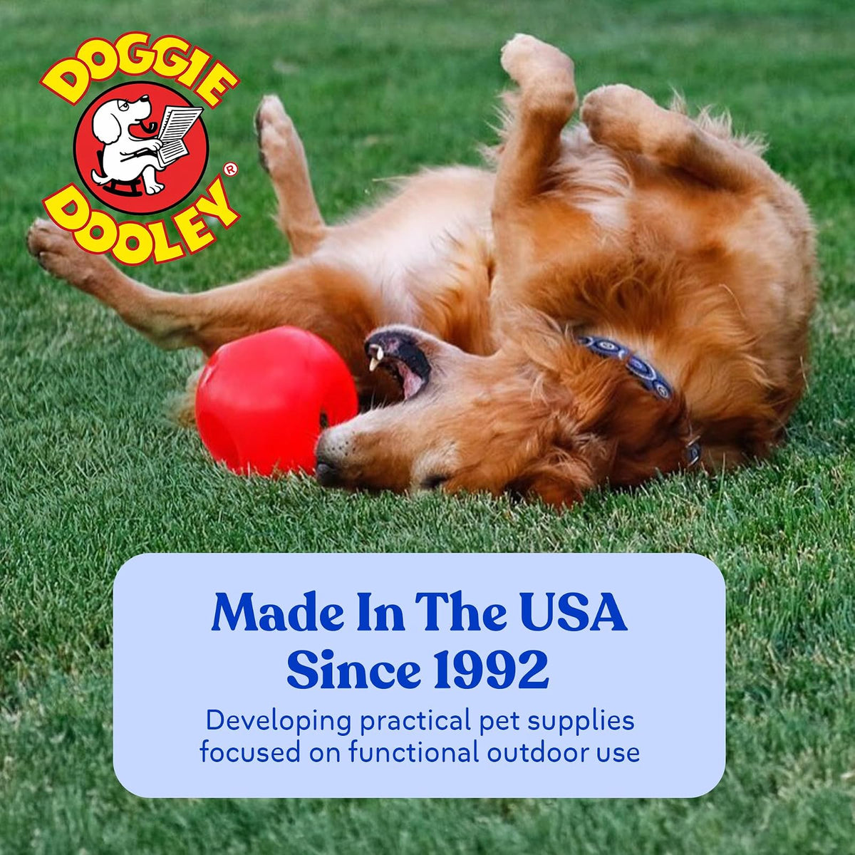 Virtually Indestructible Best Ball for Dogs, 4.5 Pulgadas, los Colores Pueden Variar