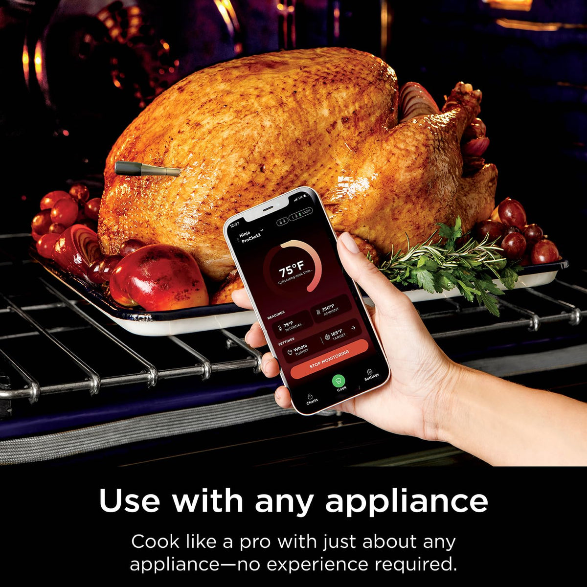Ninja Meat Thermometer ProChef Sonda inalámbrica para freidora de aire interior y exterior, parrilla, cocina, ahumador, horno, tostador, conexión de aplicación Bluetooth de largo alcance, resistente
