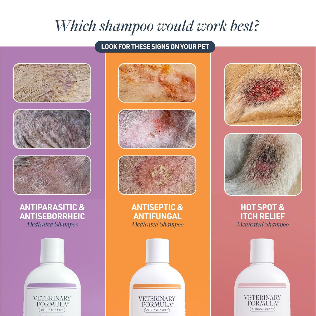Veterinary Formula Clinical Care - Champú Medicado Antiséptico y Antifúngico para Perros y Gatos - Alivia Piel Escamosa, Grasienta y Roja - Sin Parabenos, Sin Colorantes, Sin Jabón (Paquete de 2)