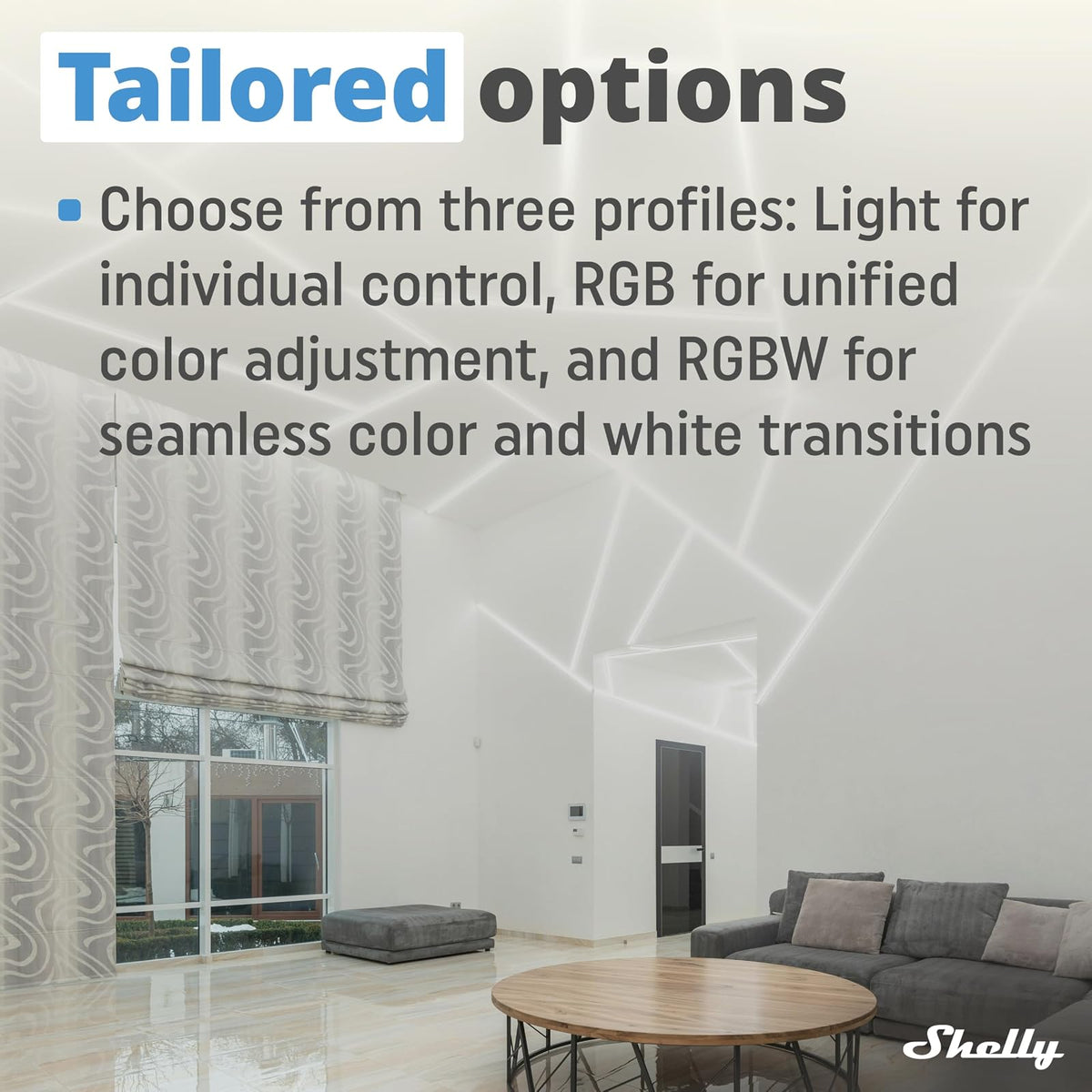 Shelly Plus RGBW PM - Módulo Controlador RGBW Para Tiras LED Wi-Fi Y Bluetooth, 12-24 VDC, Medidor De Consumo Eléctrico Integrado, No Necesita Hub, Aplicación iOS, Android (2 Piezas)