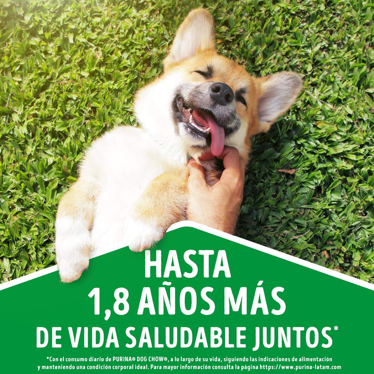 Purina - Cat Chow Comida para Gato, Adulto, Deli Mix, 15.0 kg + Dog Chow Comida para Perros Adultos Medianos y Grandes con Extralife 7.5kg