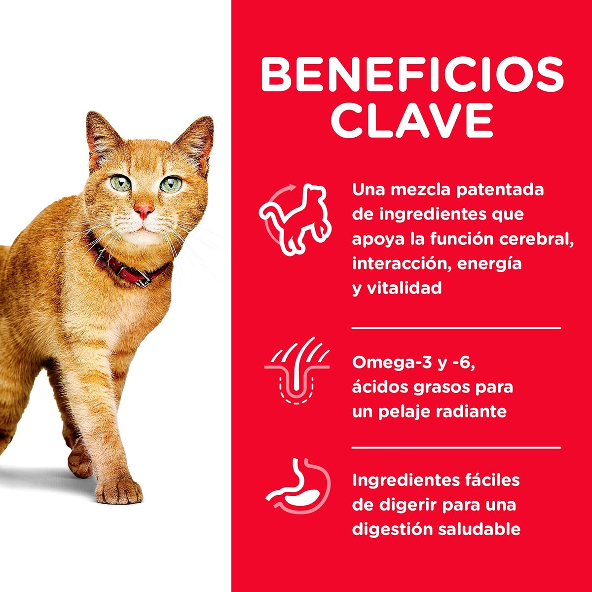 Hill's Science Diet Senior Vitality Croquetas para Gato Sabor Pollo 1.4Kg | Croquetas Hill's para gato, pollo real, vitalidad senior, salud de órganos vitales, energía diaria