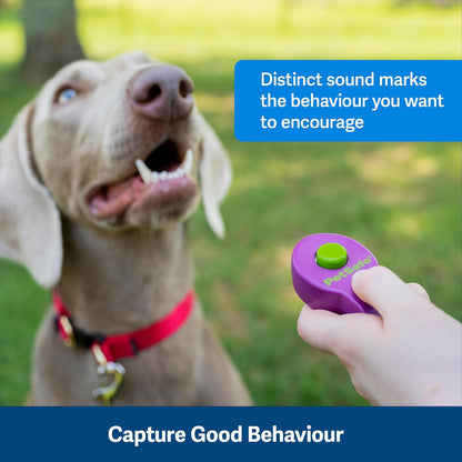 PetSafe Clik-R Dog Training Clicker - Positive Behavior Reinforcer for Pets - All Ages, Puppy and Adult Dogs - Use to Reward and Train - Training Guide Included - Purple