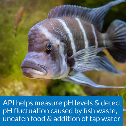 API HIGH RANGE PH TEST KIT 160-Test Freshwater and Saltwater Aquarium Water Test Kit