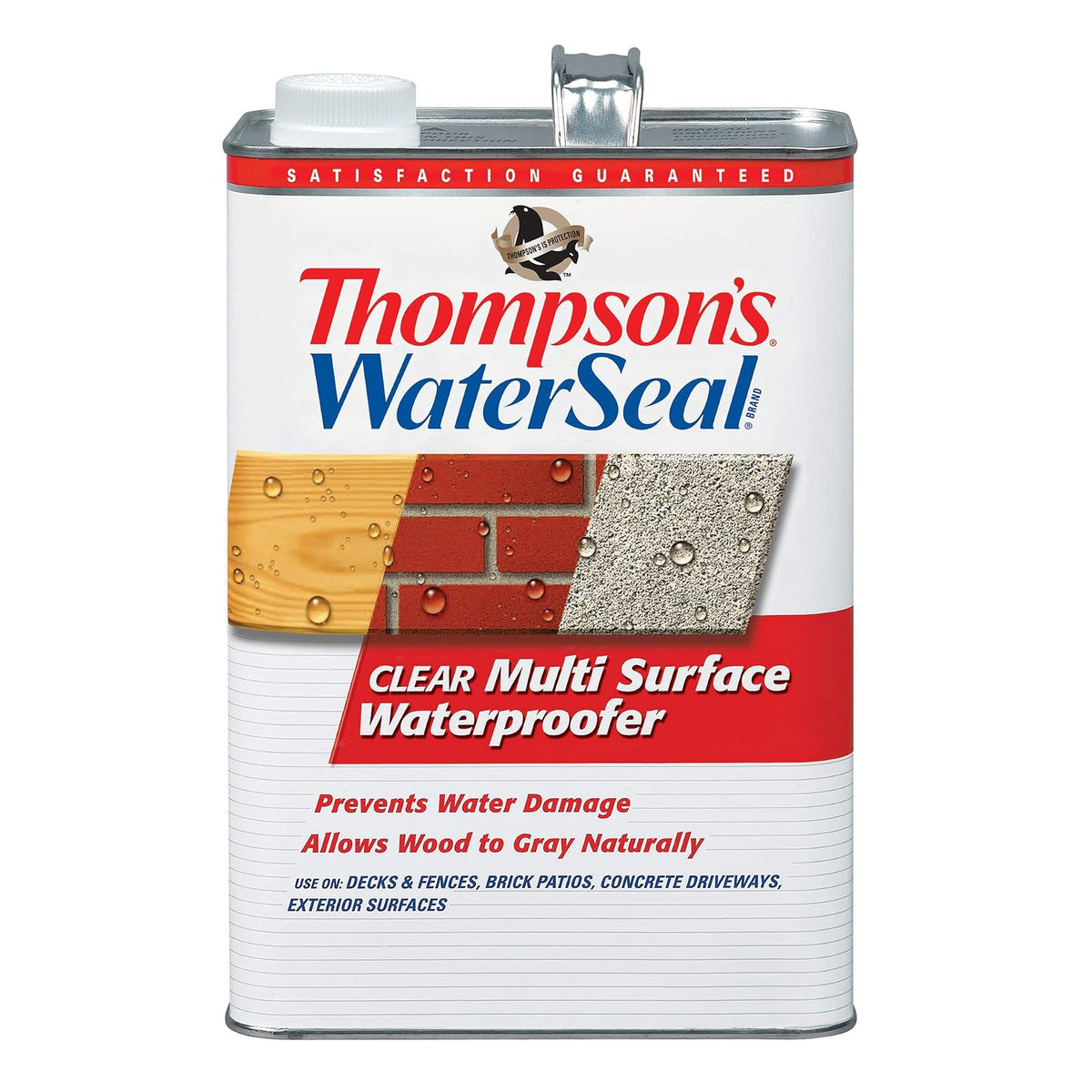 Thompson's WaterSeal Sellador protector Multisuperficies, 3.78l