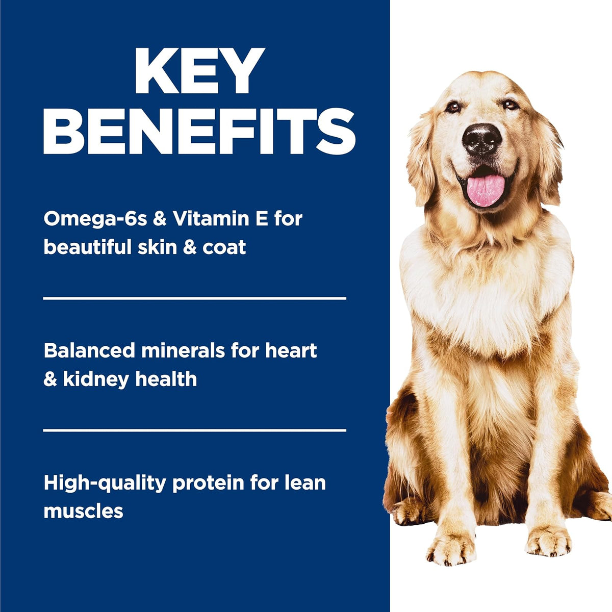Hill's Science Diet Alimento Húmedo Perro Perro Peso Perfecto 12 Pack 354G | Alimento húmedo Hill's para perro, control de peso, músculos magros, fibras naturales de saciedad