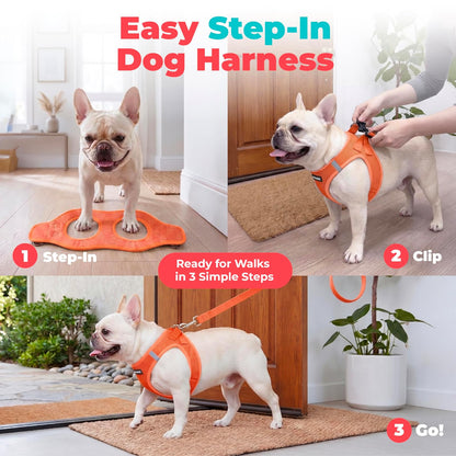 Best Pet Supplies - Arnés de Malla para Perros pequeños y medianos Voyager Step-in Air para Todo Tipo de Clima, Color Naranja (Ribete a Juego), Talla XXXS