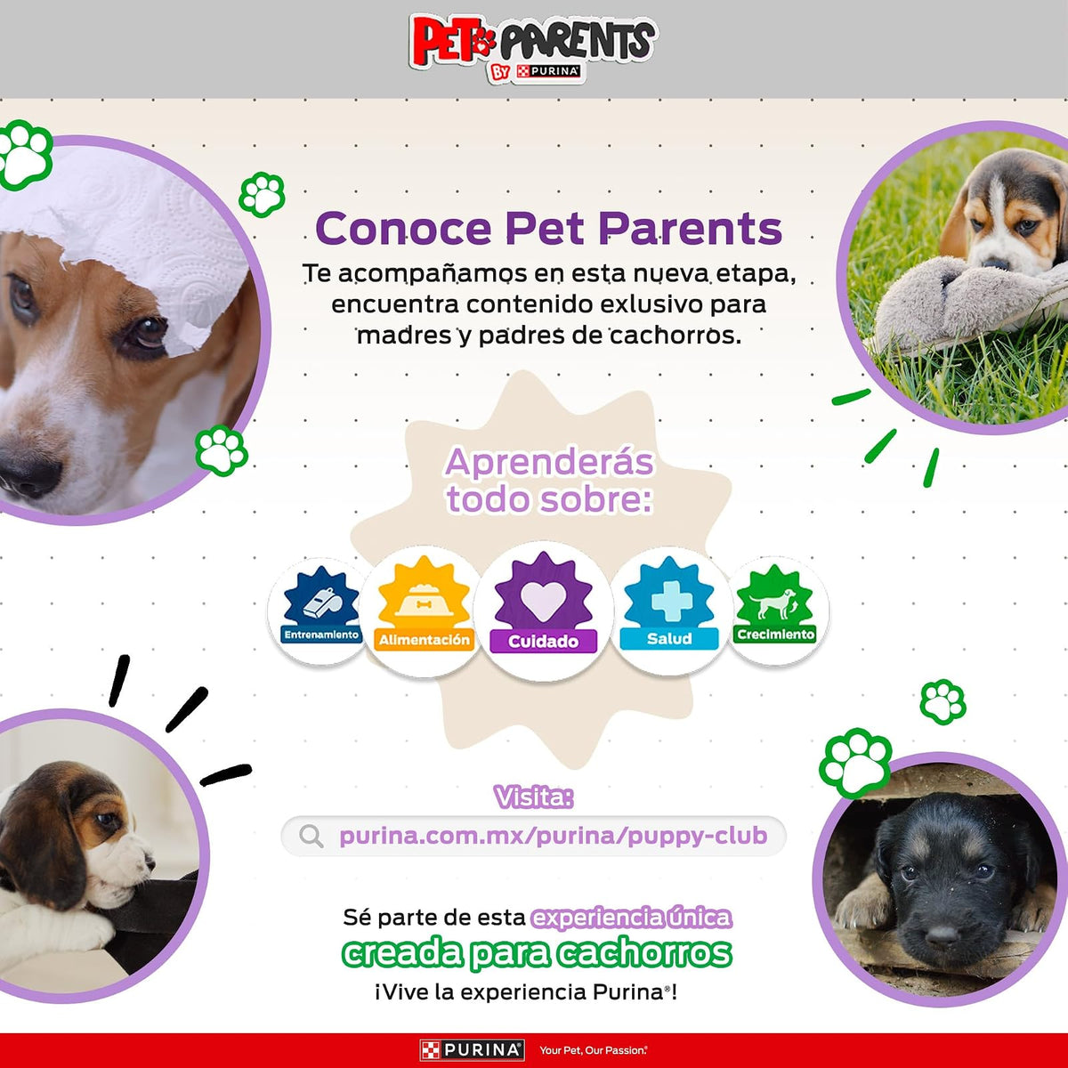 Dog Chow Purina Cachorro Raza Mediana y Grande Sabor Carne, Pollo y Frutas 7.5Kg