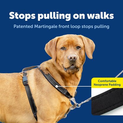 PetSafe Arnés para perro 3 en 1, solución sin tirones, arnés reflectante, clip frontal de anillo en D, correas acolchadas, mango superior, color negro, grande
