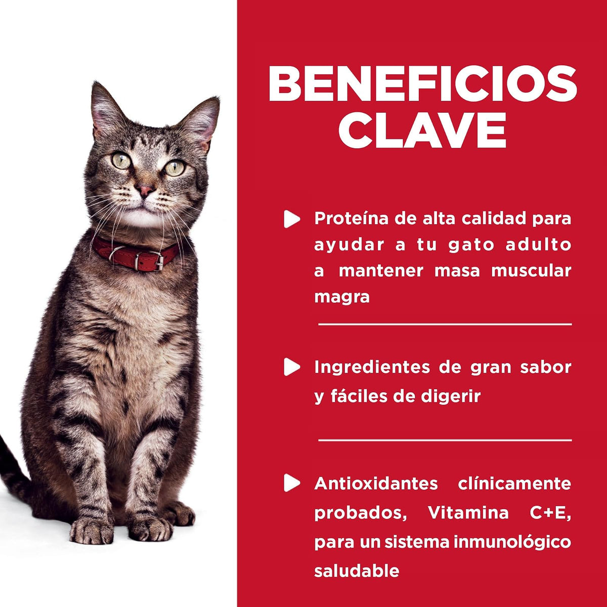 Hill's Science Diet Alimento Húmedo para Gato Adulto Pollo 24 Pack 79G | Alimento húmedo Hill's para gato, pollo real, digestión saludable, sistema inmunológico fuerte, omega-6 y vitamina E
