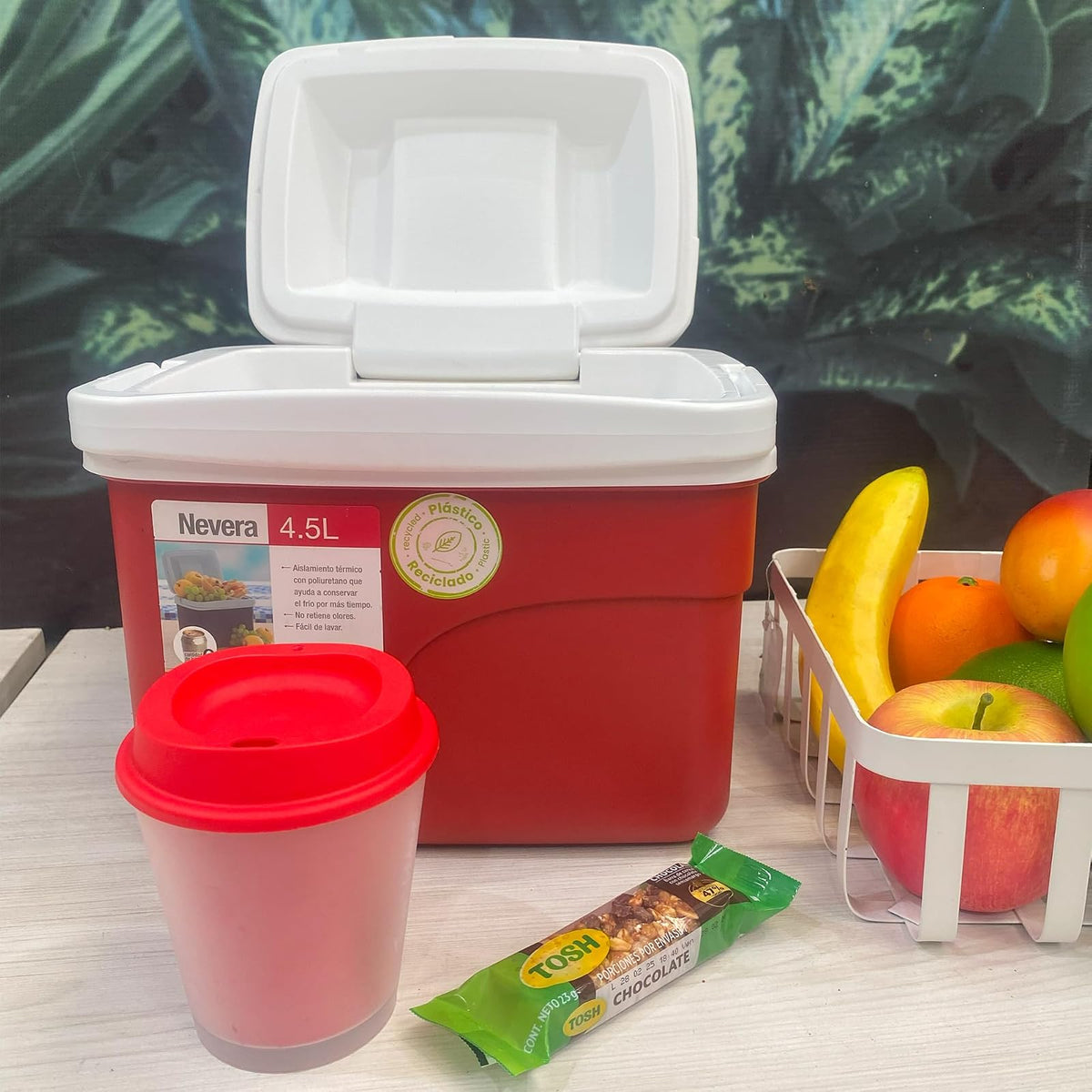 Estra Hielera Rígida 4.5L Individual | Escuela, Oficina y Gimnasio | 21x27x21 cm (4.75 QT), libre de BPA, cabe en mochila, casillero o auto, manija ergonómica