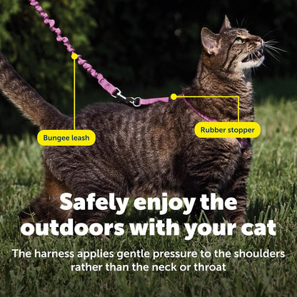 PetSafe Come with Me - Arnés de Gatito y Correa elástica, arnés para Gatos, NA, Rosa DE PULSERO/Burgundy, Mediano