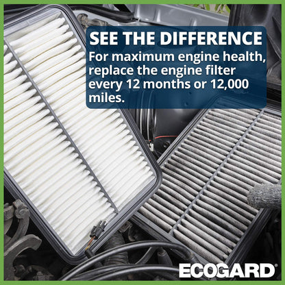 EcoGard Filtro de Aire de Motor XA10424 para Honda Fit 1.5L 2015-2020
