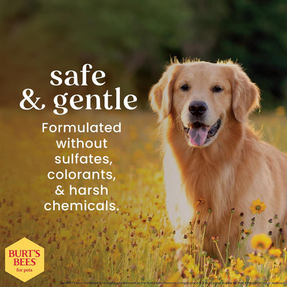 Burts Bees for Dogs - Spray desenredante natural con limón y linaza | Desenredador de piel de perro y cachorro, Natural Detangling Spray, 1 paquete