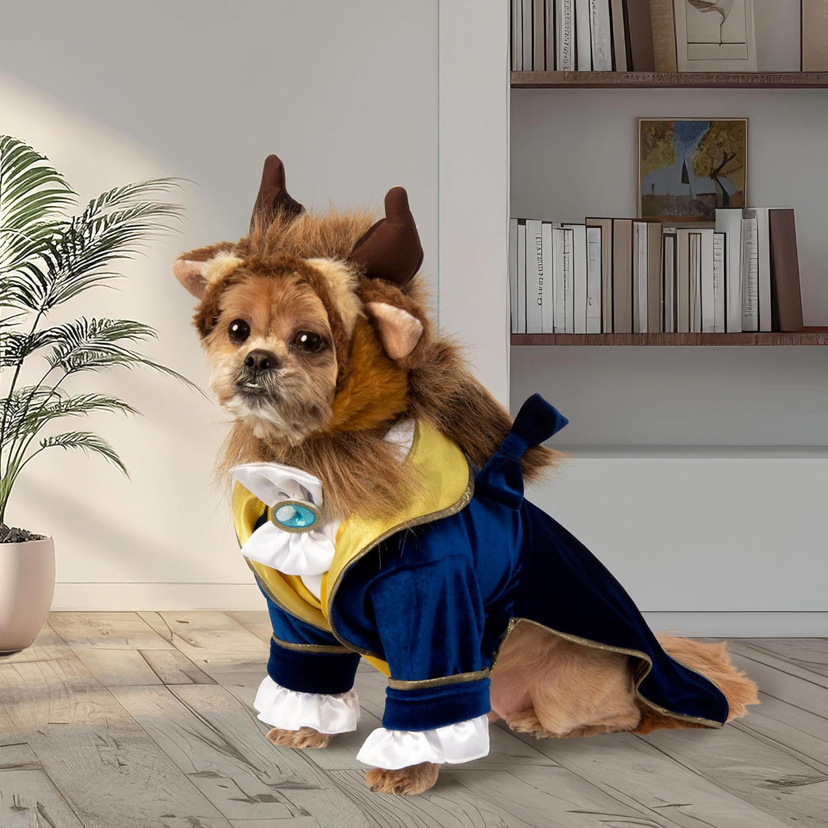 Rubie'S Disney Beauty & The Beast - Disfraz de Mascota pequeño (200646_S)