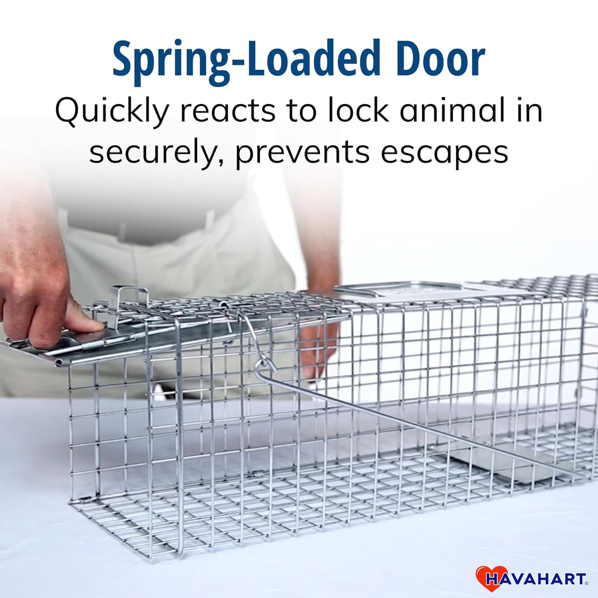 HAVAHART 1078SR - Trampa de Animales de 1 Puerta para Conejo, Mofeta, visón y Ardilla