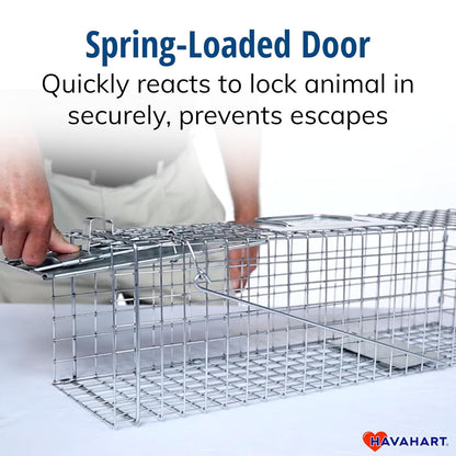 HAVAHART 1078SR - Trampa de Animales de 1 Puerta para Conejo, Mofeta, visón y Ardilla