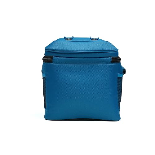 Coleman Bolsa enfriadora Suave | Enfriador de 9 latas