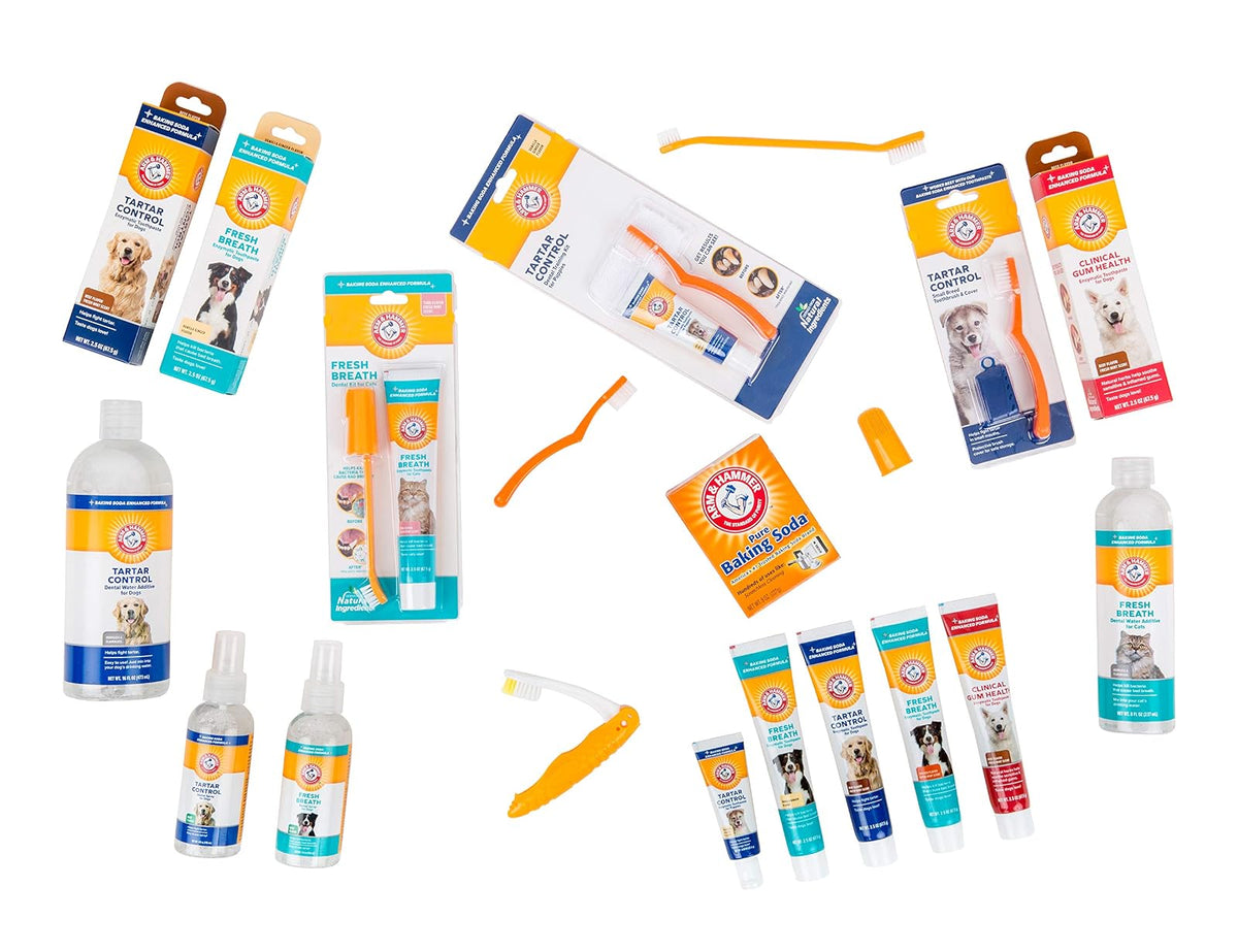 Arm & Hammer Advanced Care Toothbrush & Toothpaste Set -Vanilla Ginger Flavor