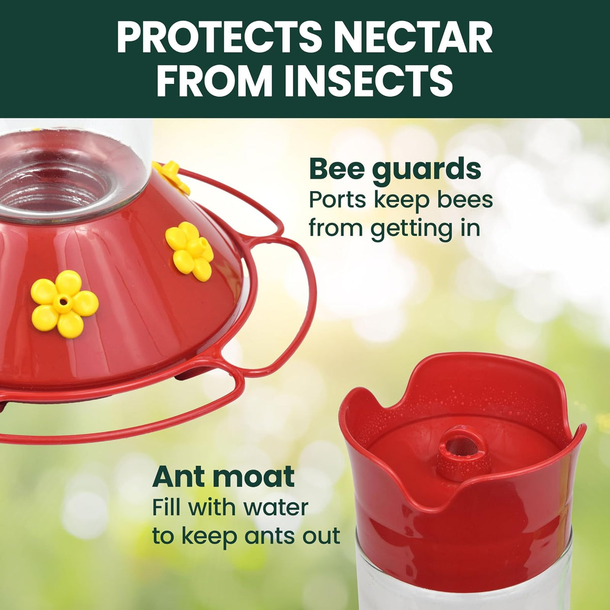 Perky-Pet 209B-1SR Nuestro Mejor alimentador de colibríes de Vidrio con Perchas, Foso de Hormigas Integrado y Protectores de Abejas, 30 onzas para decoración de jardín al Aire última intervensión