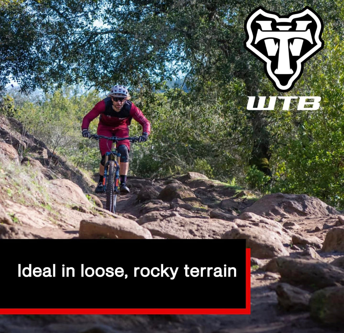 WTB Trail Boss 2,25 al resto del neumático