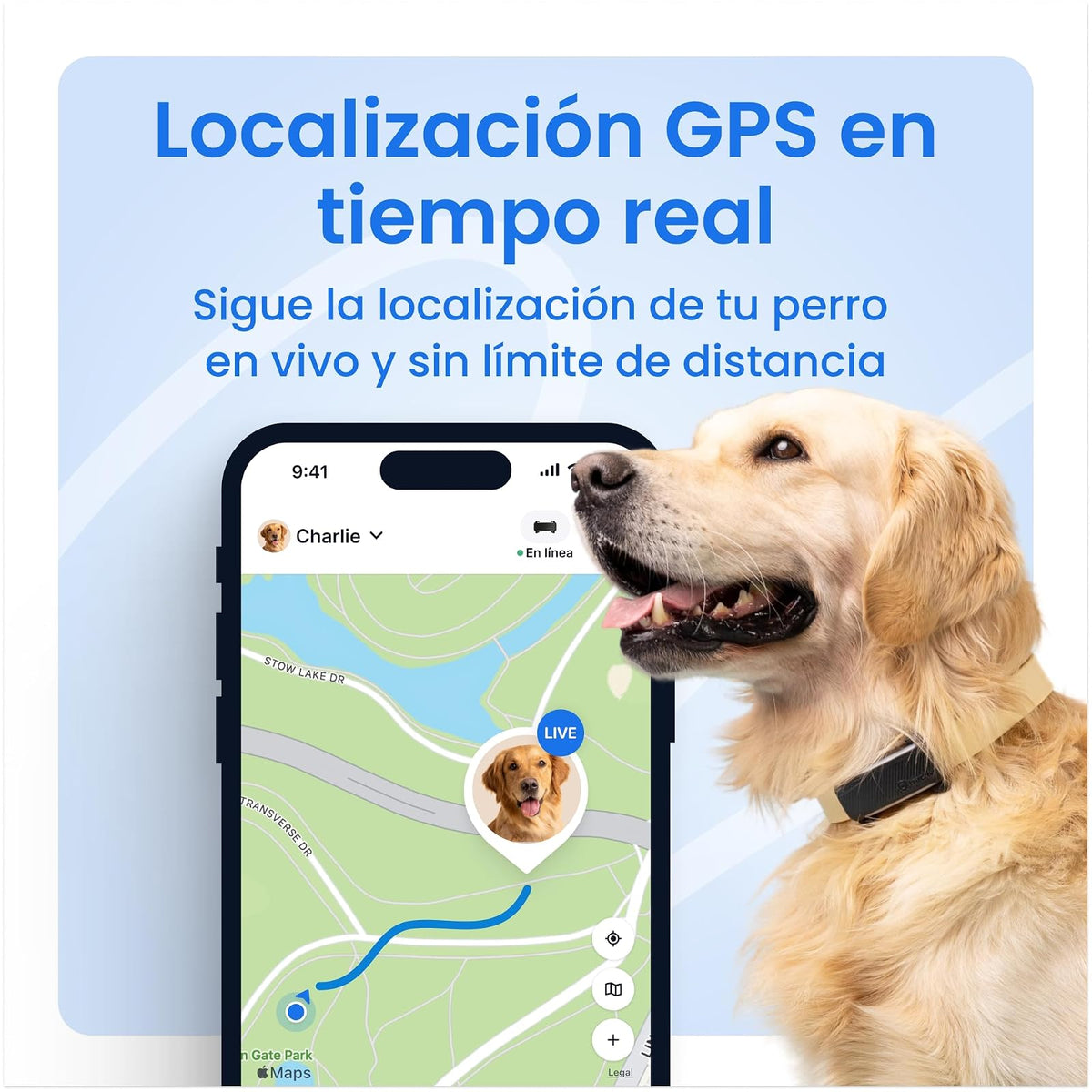 Tractive Rastreador GPS para Mascotas | GPS para Perro Inteligente con Valla Virtual | Monitoreo de Frecuencia Cardíaca y Respiratoria | Detección de Ladridos | Se Acopla al Collar (Menta)