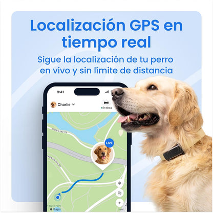 Tractive Rastreador GPS para Mascotas | GPS para Perro Inteligente con Valla Virtual | Monitoreo de Frecuencia Cardíaca y Respiratoria | Detección de Ladridos | Se Acopla al Collar (Menta)