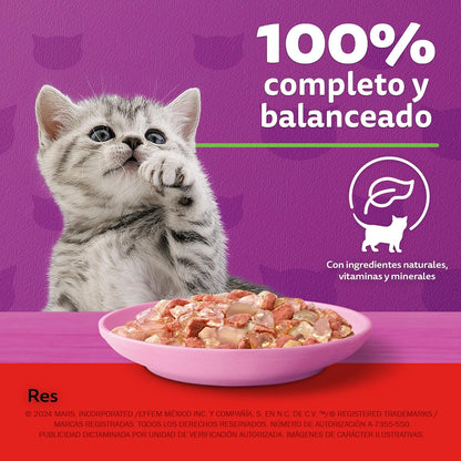 Whiskas - Alimento Húmedo para Gatitos, Sabor Soufflé de Res, con Proteína, Zinc, Vitamina E y Fibra, 24 Sobres para Gato, 85 gr. c/u