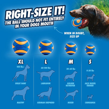 Chuckit! Ultra Squeaker Ball 47090 - Pelota para chirriar