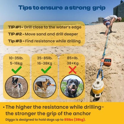 DIGGO - Estaca de Amarre para Perro para Playa Perros Grandes y Perros Pequeños | Orificio de Soporte para Sombrilla | Sistema Único de Bloqueo con Combinación Giratoria