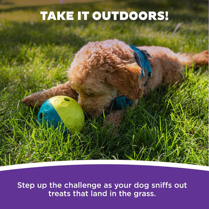 Nina Ottosson by Outward Hound Treat Tumble Interactive Treat Ball Dog Puzzle Dog Enrichment Dog Toy, Level 1 Beginner, Blue, Small
