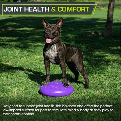 ProsourceFit Diameter Core Balance Cushion Exercise Disc Trainer Board with Pump