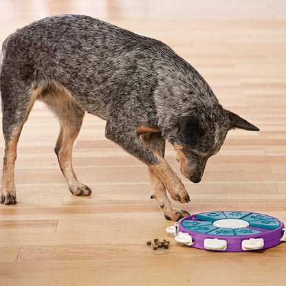 Outward Hound - Rompecabezas interactivo verde Nina Ottosson Dog Worker Juguete para perro