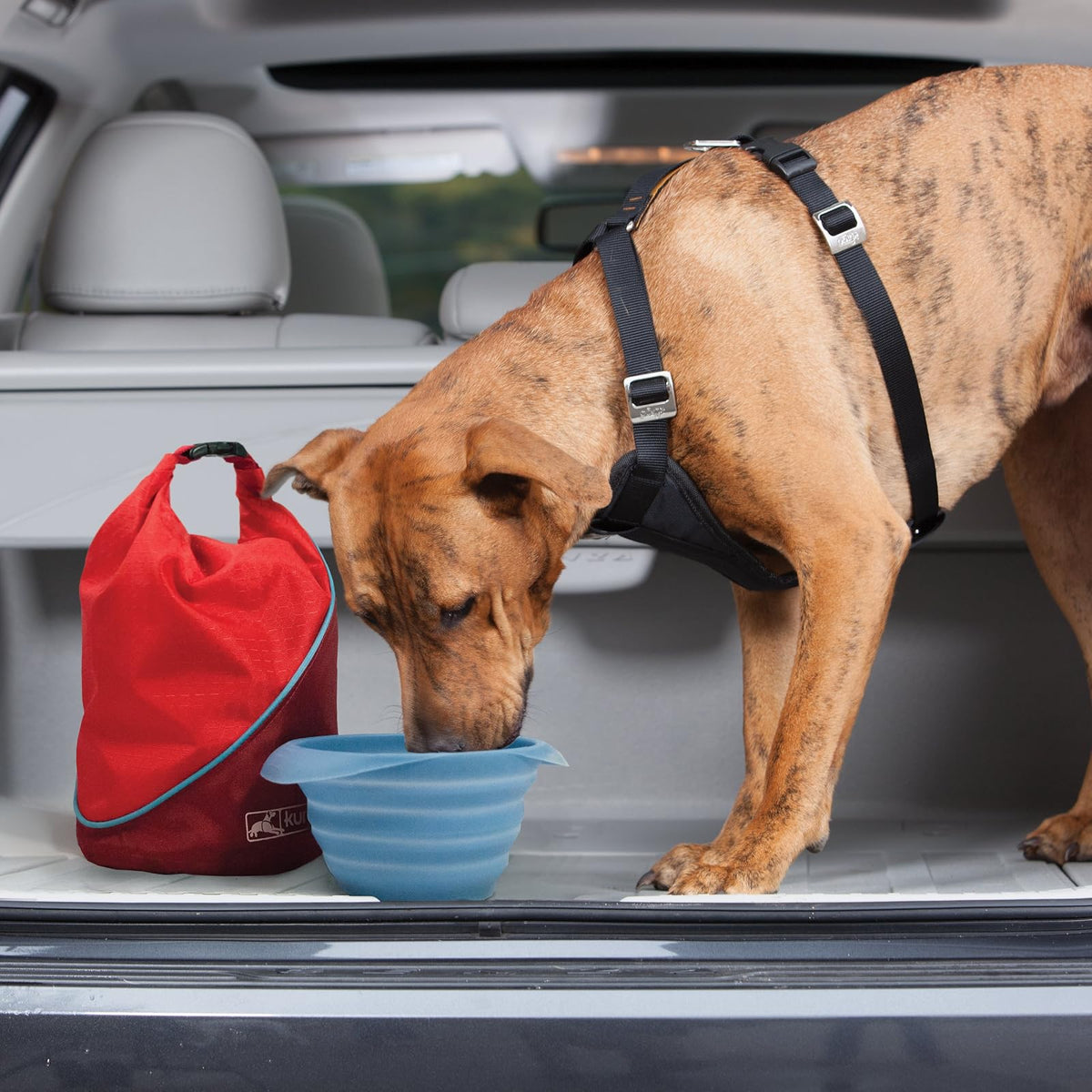 Kurgo Bolsa de Comida para Perros Kibble Carrier | Azul costero y rojo chile, capacidad 5 libras, plegable, libre de BPA, fácil de limpiar