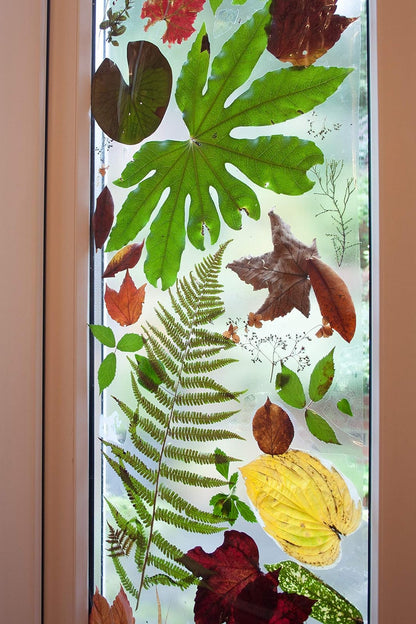 D-C-Fix 346 – 0017 decorativo autoadhesivo película de la ventana, Brillante transparente, 17.71" x 78" Roll