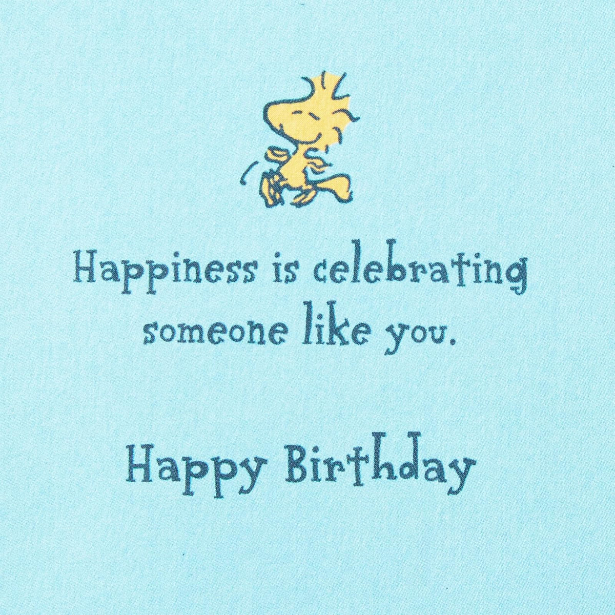 Hallmark Signature Peanuts Tarjeta de cumpleaños (Snoopy, Happiness)