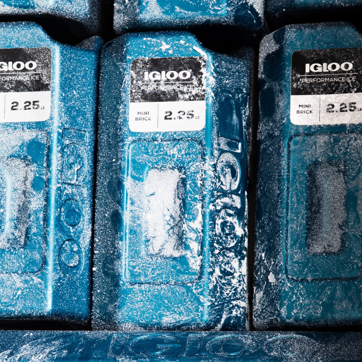 Igloo Performance Bloques de Hielo, Reutilizables para enfriadores, Paquetes de congelador frío de Larga duración, Paquetes fríos para enfriadores, Camping, Pesca, Viajes por Carretera