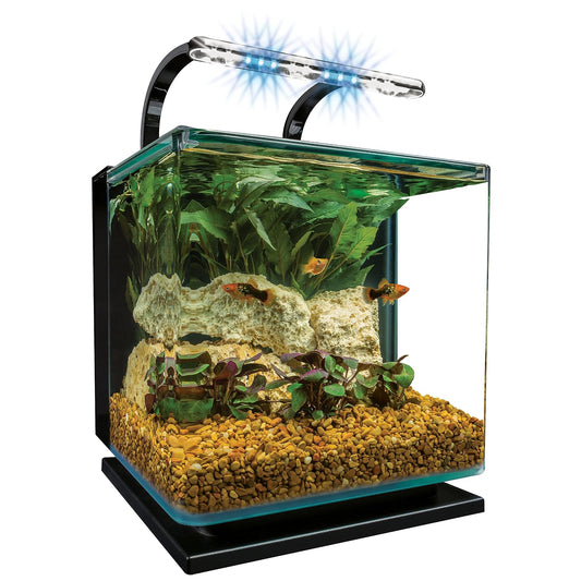 MarineLand Kit de Acuario con luz, Almohadilla de espuma, 11 litros