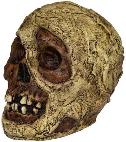 Ghoulish Productions Mummy Skull, Artículo Decorativo de Craneo Cabeza de Momia, Adorno para Decoración de Halloween de Momias Ideal para Casa de Terror y Día de Muertos